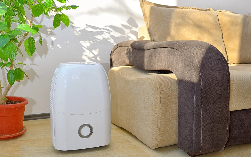 Breathe Easy– Understanding Your Air Filter and When to Change It