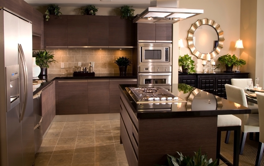 Modern Kitchen Cabinets