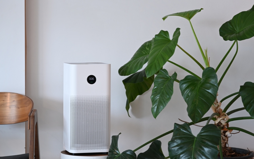 Breathe Easier at Home